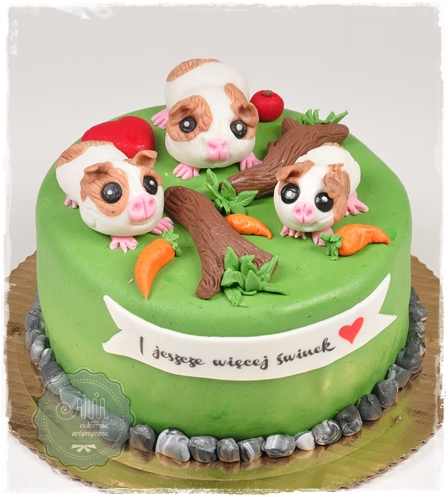 Tort Świnki morskie - zdjęcie 1