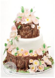 Tort Sosnowe Pnie
